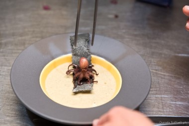 Chefforense - The Opening 2017