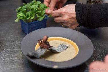 Chefforense - The Opening 2017